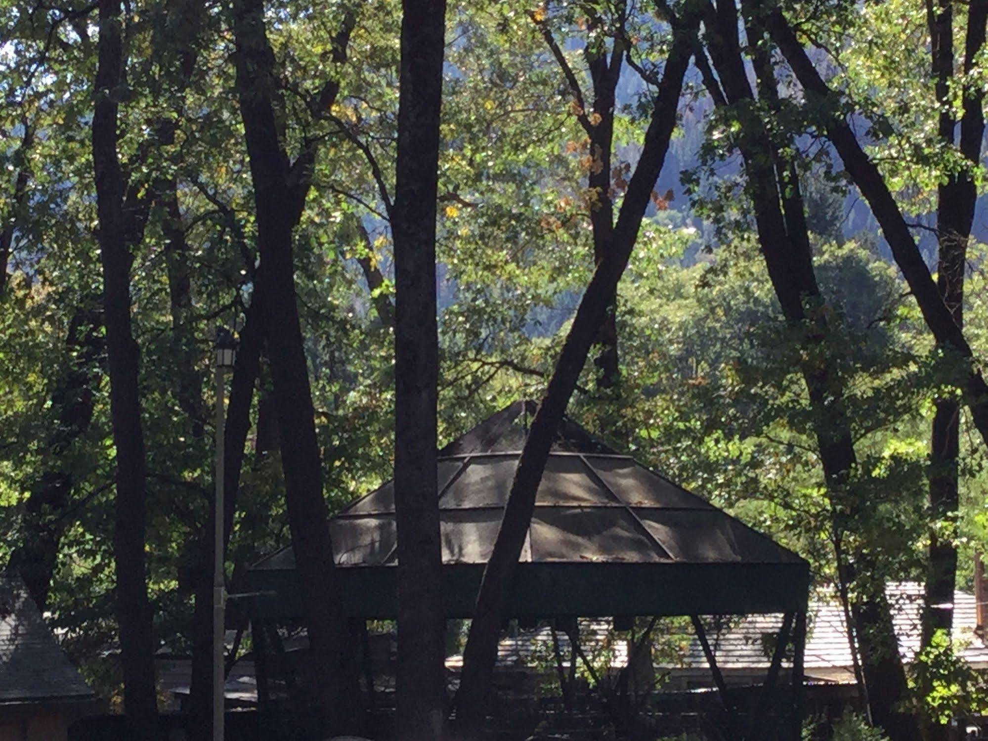 דונסמיר Cedar Lodge מראה חיצוני תמונה
